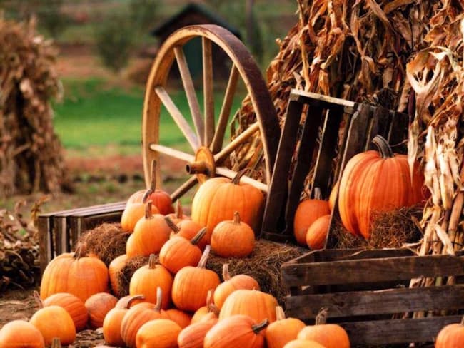 фото: discoverukraine.com.ua