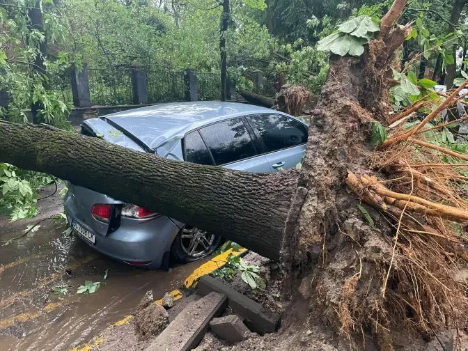 Фото: Фейсбук "Зручне місто"