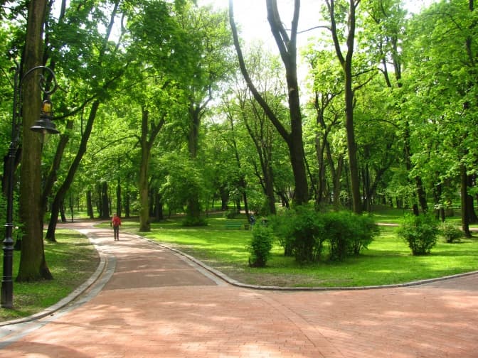 В парку імені Івана Франка викрали бруківку