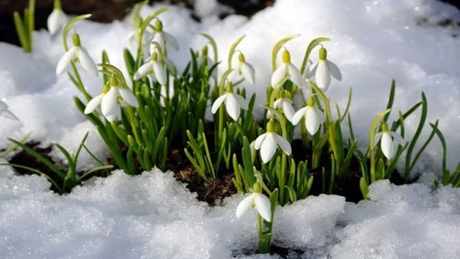 Ще буде невеликий сніг. Коли у Львові очікувати справжнє потепління