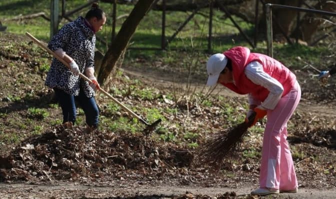 У Львові розпочалася весняна толока. Як долучитися