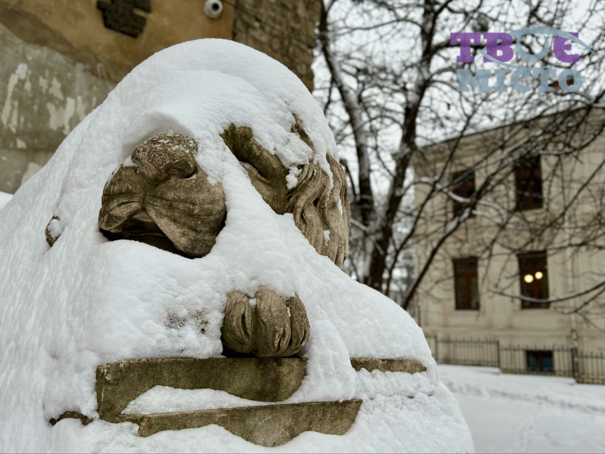Зима у Львові / Фото: Твоє місто