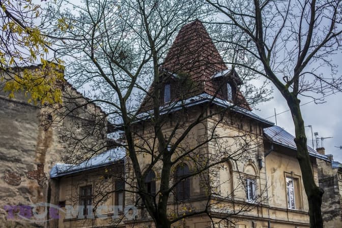 Вілла Левинського, яка може зникнути, та її мешканці. Фоторепортаж