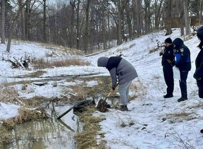 Котеджне містечко у Бучі зливає нечистоти в яр