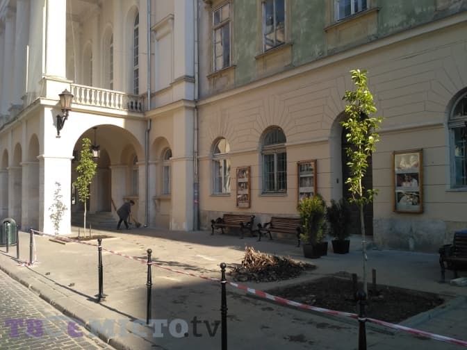 Поблизу театру Заньковецької посадили магнолії. Фото