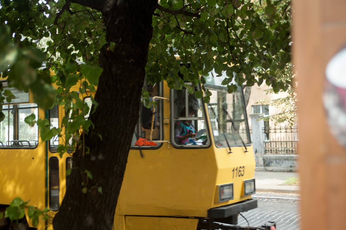 Фото: Надія Марченко