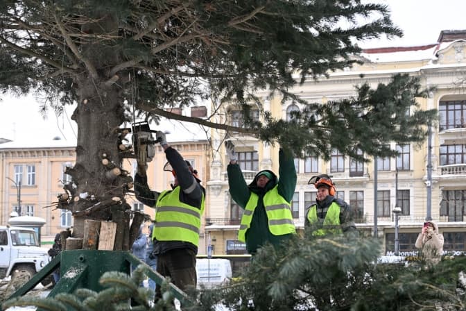 Фото: ЛМР