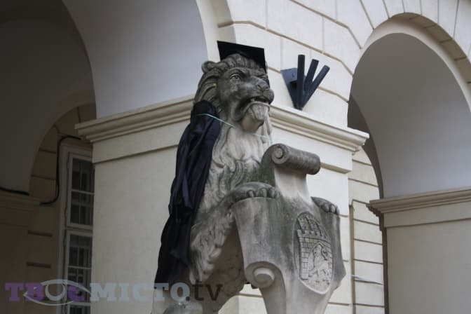 Фото дня. Львівські леви одягнули мантії до дня студента