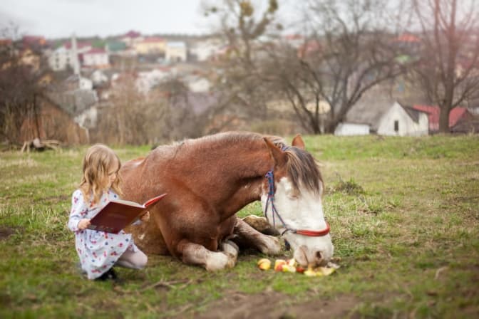 Фото: кінний клуб "Темпо"