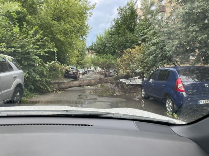 У Києві негода повалила 76 дерев і пошкодила десятки автомобілів