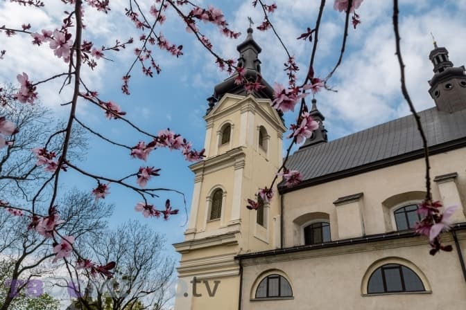 Чи збережеться тепло: якою буде погода на Львівщині цього тижня