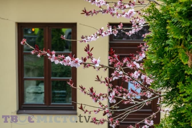 Як у Львові працюють супермаркети, ТРЦ, банки, пошта та кав'ярні