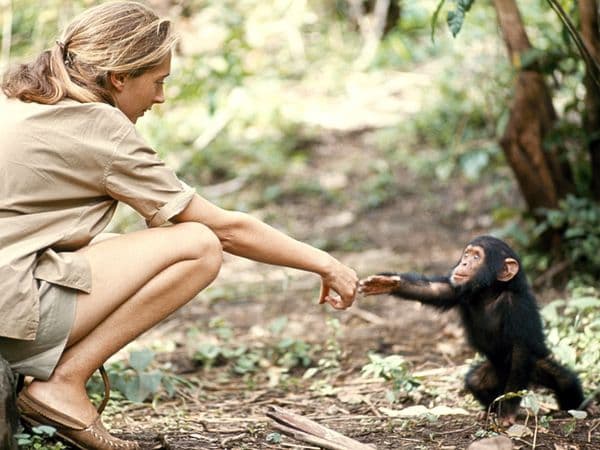 National Geographic оголошує гранти для молоді