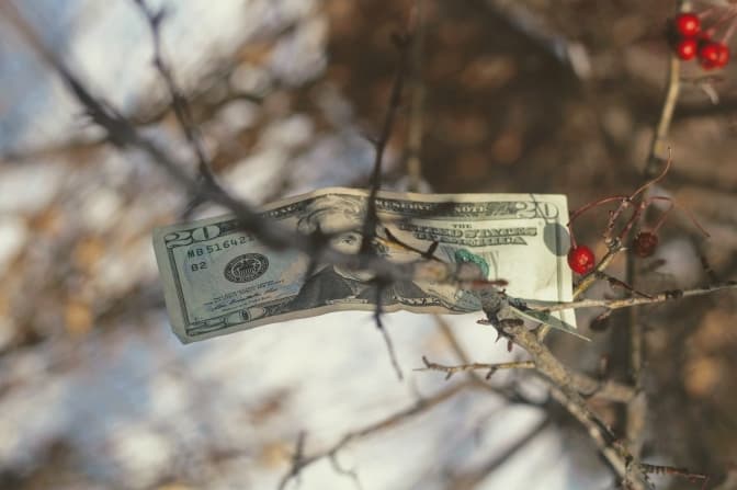 Photo by Joshua Hoehne on Unsplash