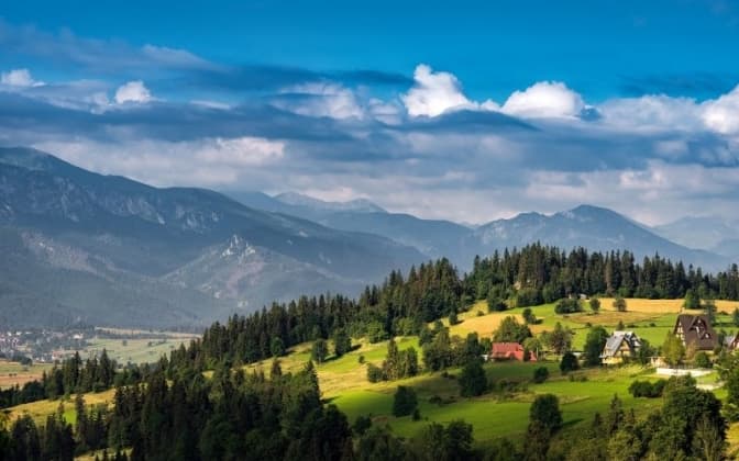 Фото: Репортер