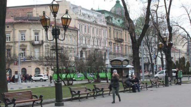 У Львові проведуть експеримент з лікування каштанів
