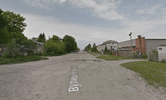 Фото: Google Maps, вул. Конюшинна