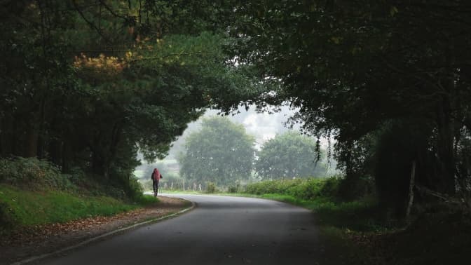 Фото:
Les routes sans fin(s)/Unsplash