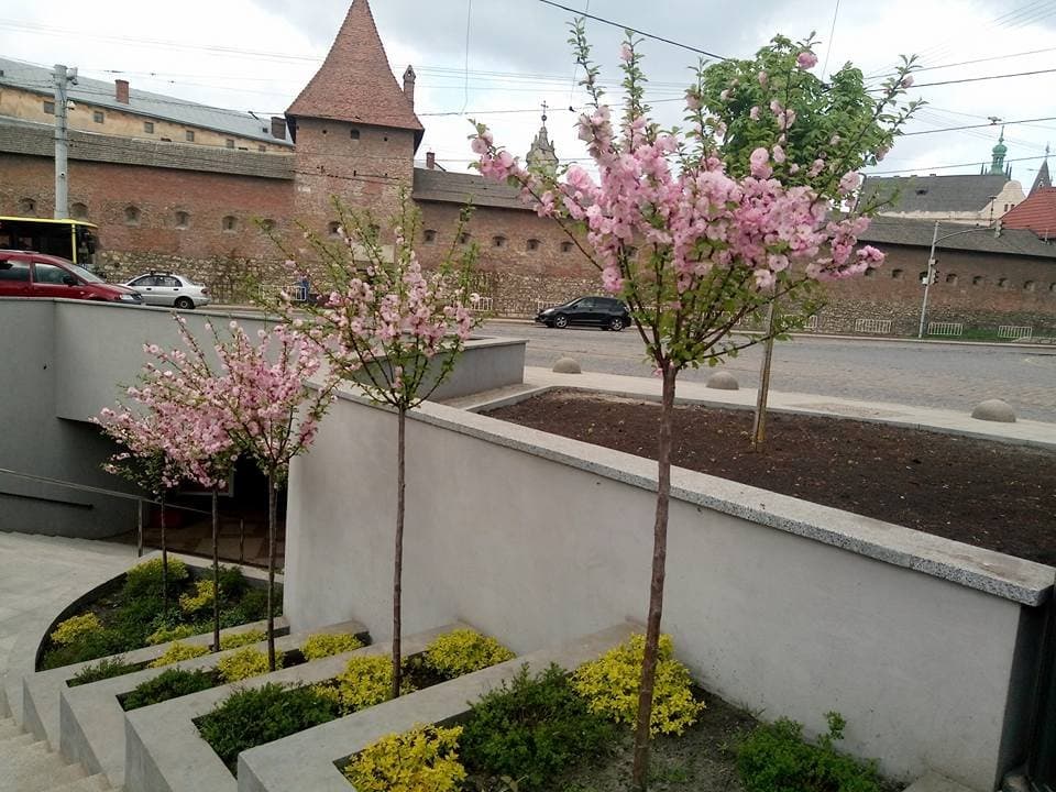 Як доглядають громадські простори Львова: досвід площі Митної