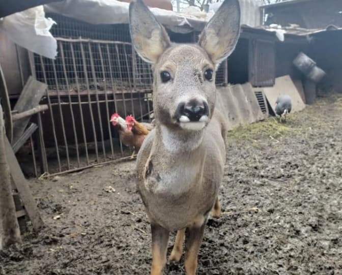 Фото: Фейсбук Орест Залипський