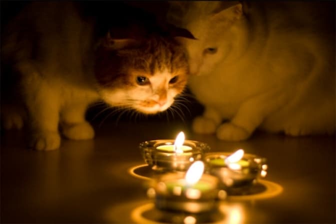 Графіки відключення світла на Львівщині на 14 лютого