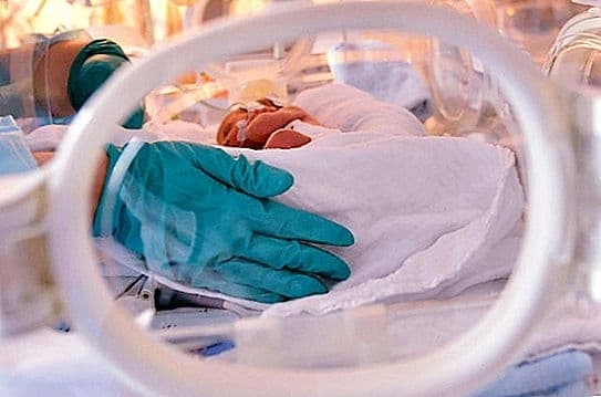 Фото: З відкритих джерел