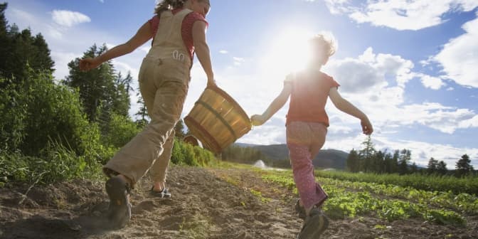 Фото: cuvarkuca.rs