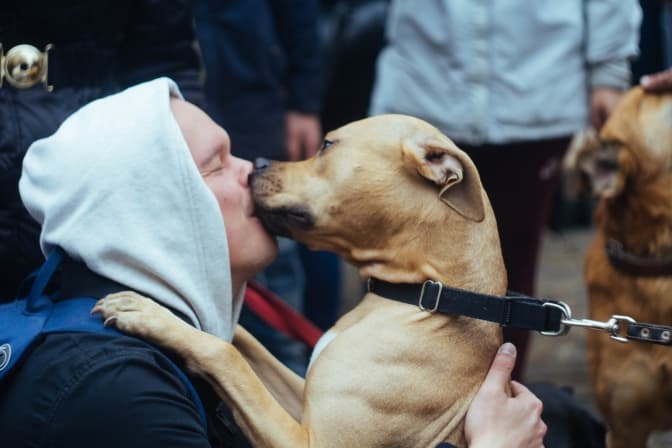 Вийшли за них. Фоторепортаж із Маршу за права тварин у Львові