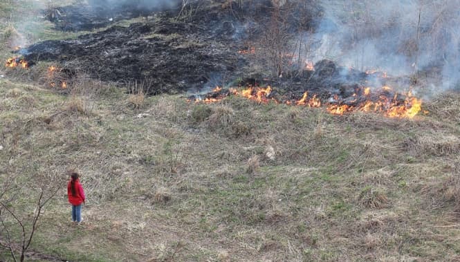 На Львівщині діють рейдові групи для виявлення паліїв сухої трави