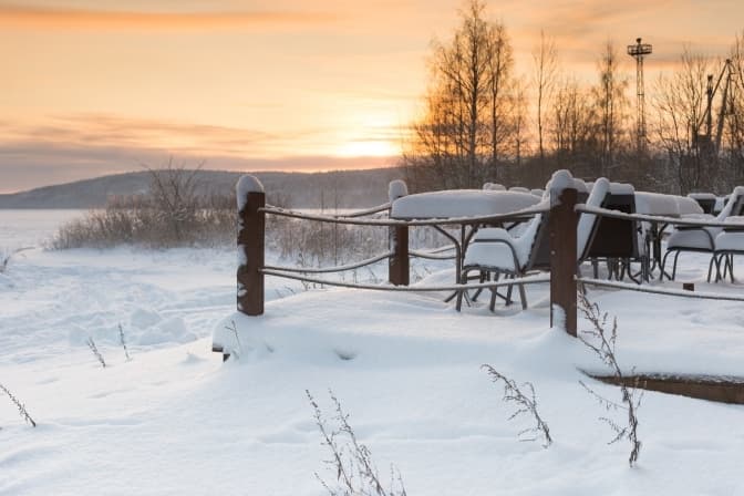 Фото: Tetiana Shyshkina for unsplash