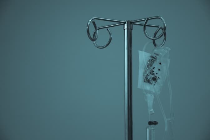 На Львівщині через укус змії 65-річний чоловік потрапив до лікарні