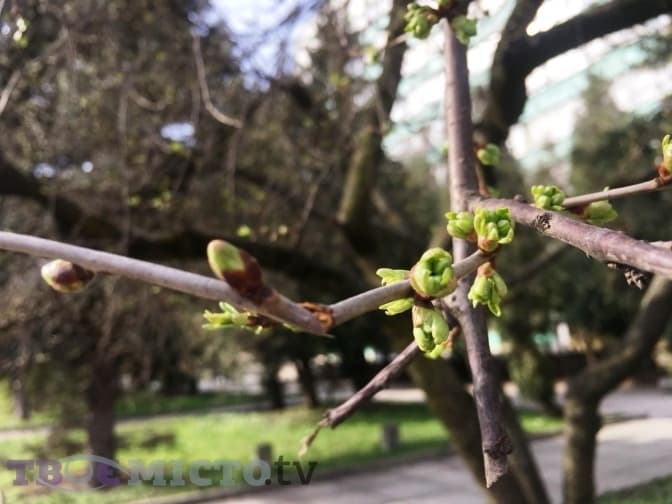 До 16° тепла: якою буде погода на вихідних на Львівщині
