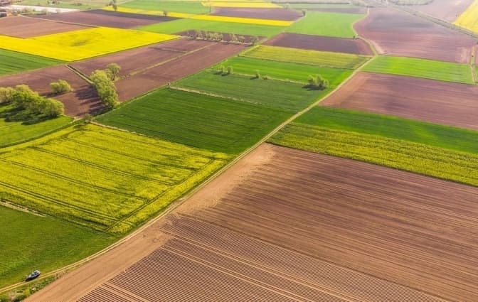 У росіянина конфіскували земельну ділянку на Львівщині