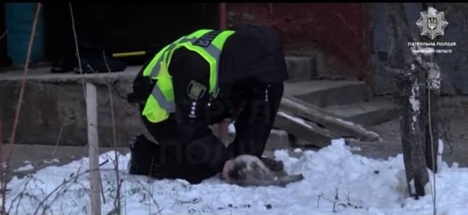 скріни з відео патрульної поліції львівської області