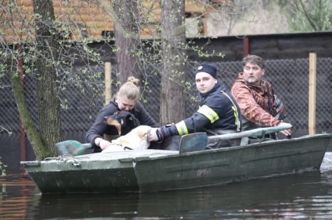 На Київщині підтоплено 210 домогосподарств