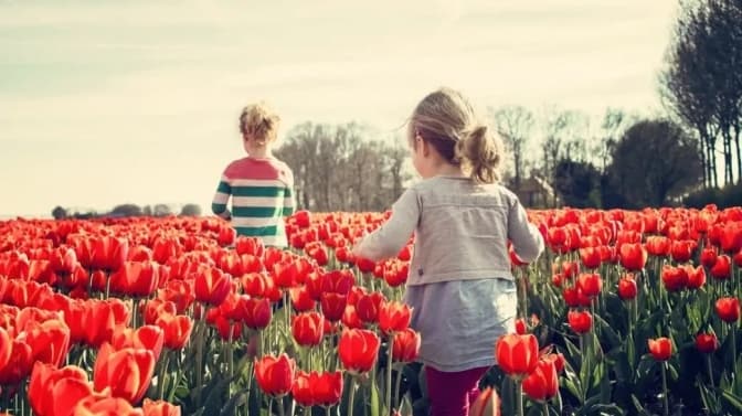 Сьогодні – День захисту дітей. Куди піти у Львові