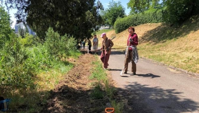У Києві волонтери ботсаду Гришка запрошують долучитися до команди. Як допомогти