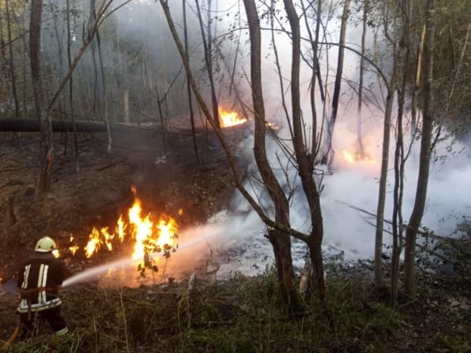 У Львові лікуватимуть дітей, які постраждали під час пориву нафтопроводу на Івано-Франківщині