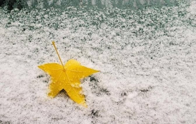 Цієї ночі у Львові випав перший сніг
