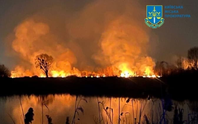 За розслідування підпалу в екопарку Осокорки взялась прокуратура