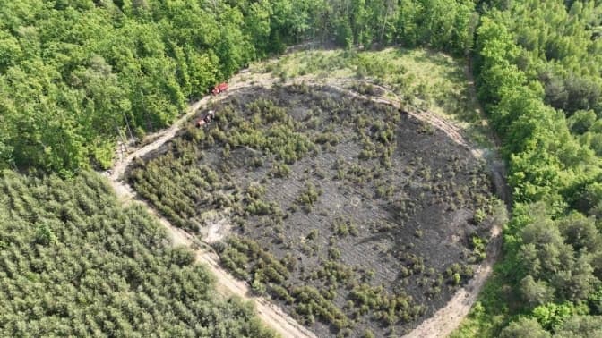 Львівські волонтери висадять новий ліс на місці того, що згорів через падіння «шахеда»