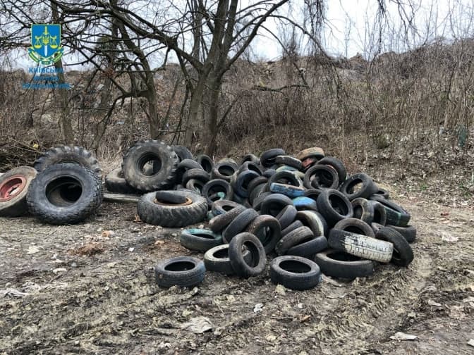 Сміттєзвалище в київському парку "Проня Балка" приберуть
