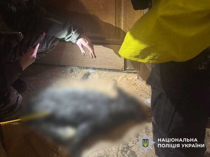 Окрім вовка киянка утримувала у квартирі лисицю: поліція відкрила кримінальне провадження