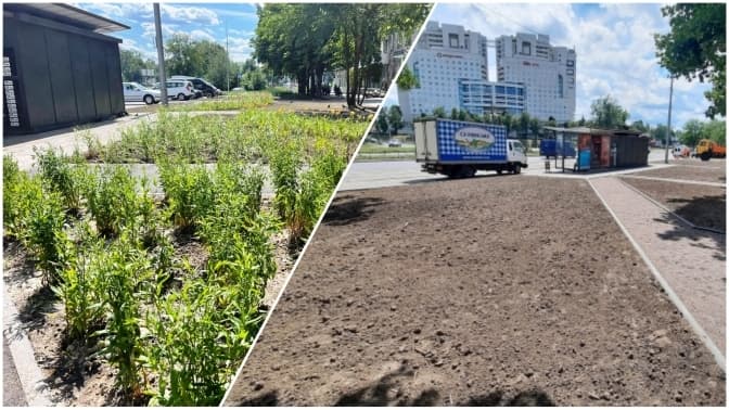 У Києві на місці знесених кіосків на Берестейській комунальники облаштували зелену зону без лавочок. Причина