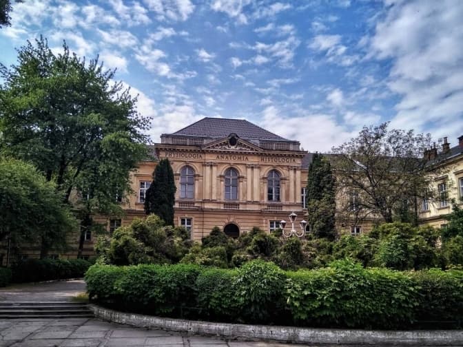 На базі Львівського медуніверситету створять дитячий реабілітаційний центр