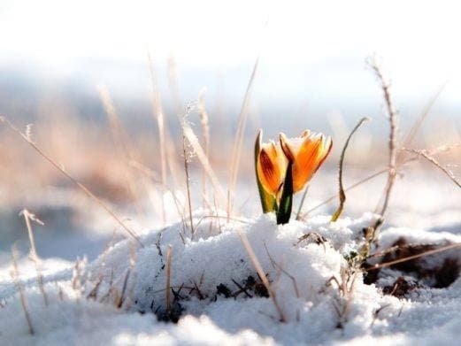Фото з відкритих джерел