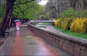 У найближчі дні у Львові похолоднішає та дощитиме