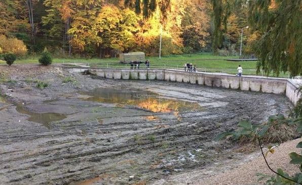 У Львові завершують очищення озера на Погулянці
