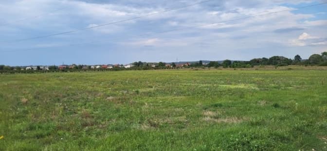фото умовне