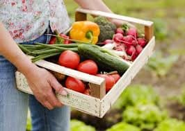 На вихідних у Львові буде ярмарок натуральної продукції